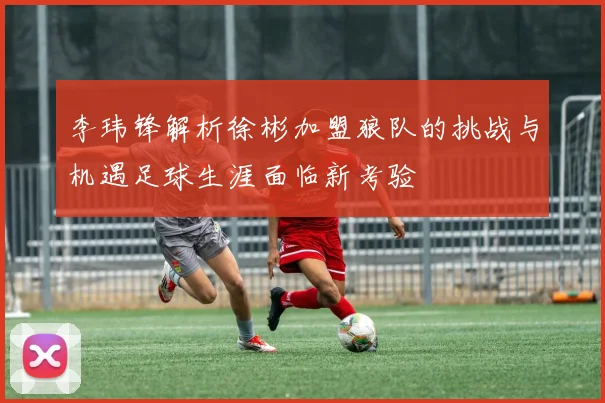 李玮锋解析徐彬加盟狼队的挑战与机遇足球生涯面临新考验